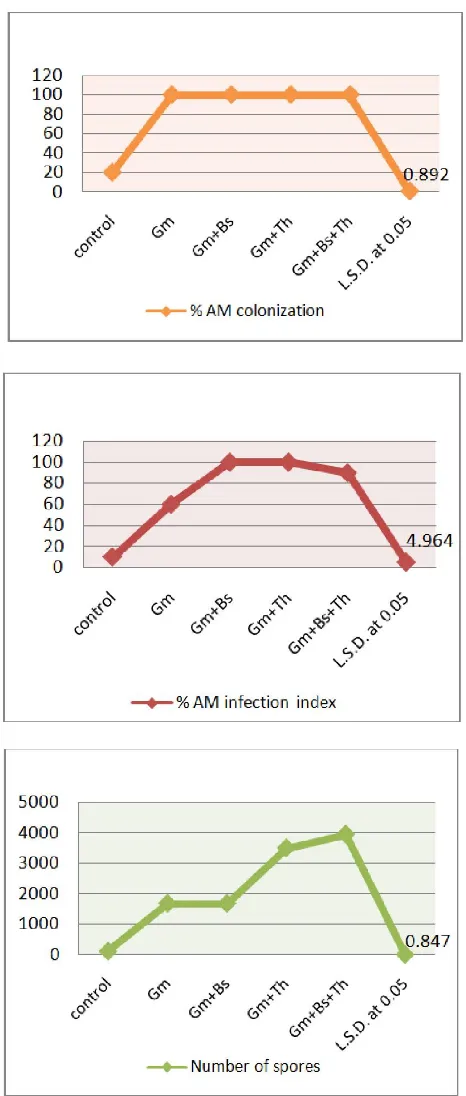 Figure (1) showed the effect of interaction of T. harzianum and B. subtilis with G. mosseae in AM fungi colonization, infected index of AM fungi, number of spores, weight of mycorrhizal root and mycorrhizal dependency under field condition