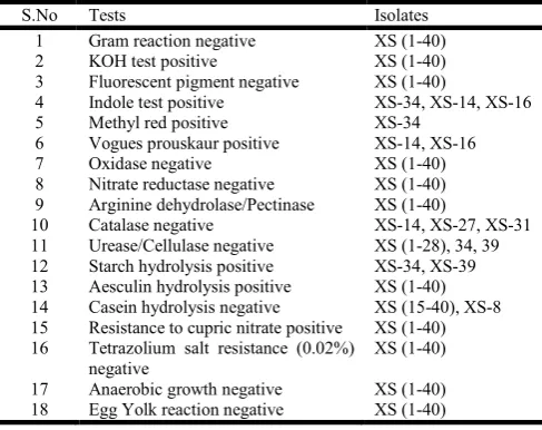 Table 2. Biochemical tests pertaining to 40 Xanthomonas isolates  