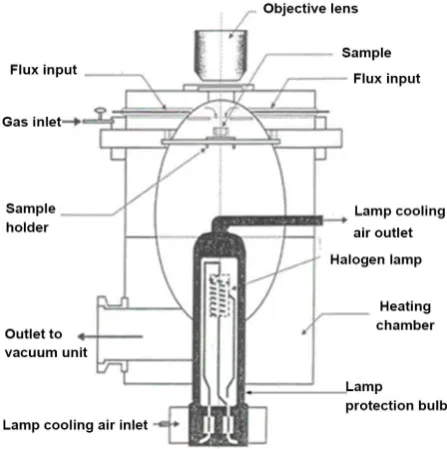 Figure 1. Confocal laser scanning microscopy. 