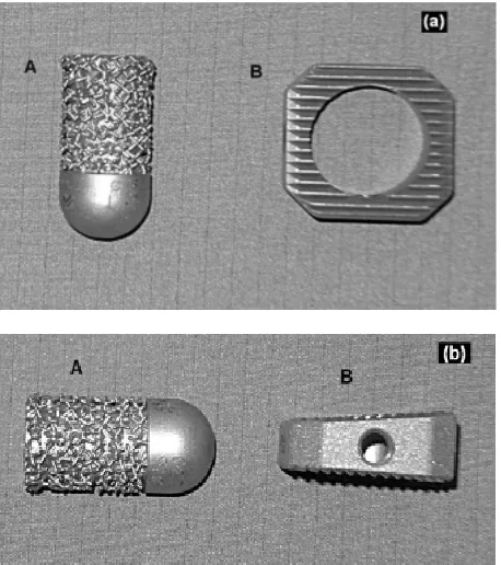 Table 1. Beneath T1 spin echo (SE) and fast spin echo (TSE) sequences this protocoll also contained protone densitiy (PD) sequences as well as 2-D and 3-D se-
