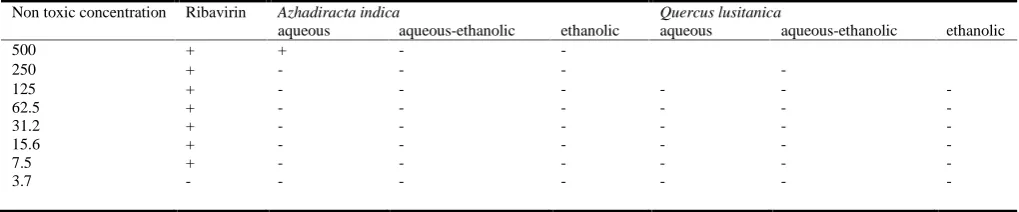 Table 4. Antiviral activity of three lyophilized extracts of two medicinal plants on Dengue 1 with Ribavirin