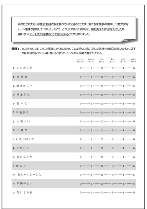 Figure 1. Sample of the questionnaire used. 