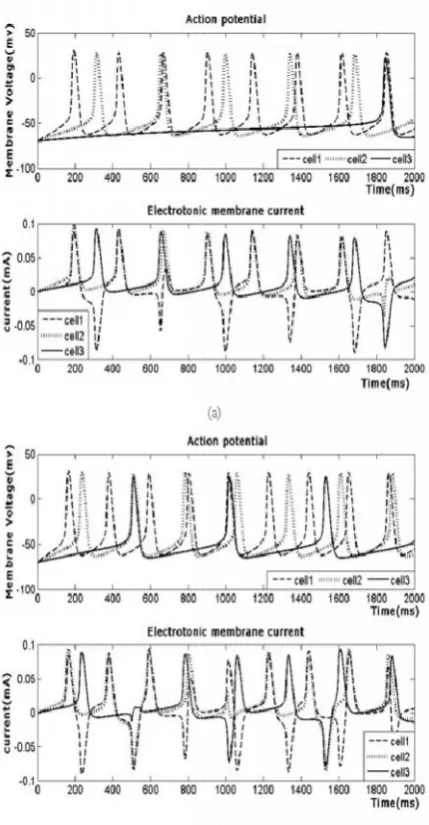 Fig. 4. Action potential of a cell and Electrotonic currentflowing across the boundaries between the neighboringcompartments for different values of stimulating currentcompartments for different values of stimulating currentFig