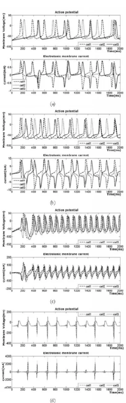 Fig.  6. Biphasic stimulating current and the action potentialFig.  6. Biphasic stimulating current and the action potentialFig