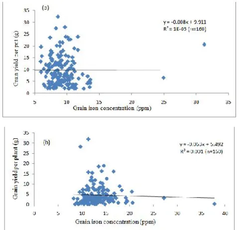 Fig. 1a & b. Relationship between grain iron concentration and grainyield per plant in RILs a) Grown in wet season 2011 and b) Grown in
