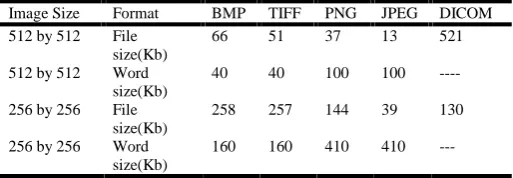 Table 1. Comparison between images formats (Wail et al., 2008)