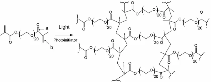 Figure 1. Chemical structure of PEG-1000-DMA and of the crosslinked PEG-1000-DMA meshwork