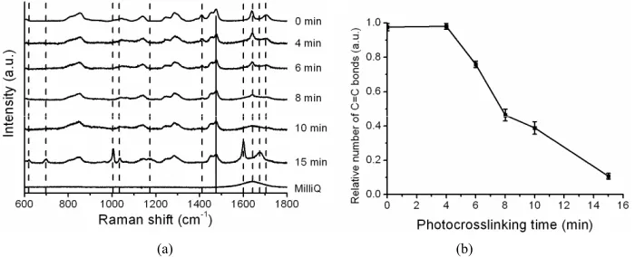 Figure 4. Spectral fingerprints of X1000P hydrogel as a function of photocrosslinking time obtained by Raman spectroscopy
