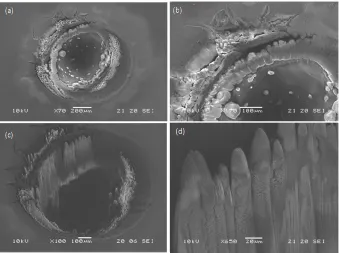 Figure 3. SEM images of IOL (Alcon ΜΑ(under ×170 magnification) for normal incidence observation, (c) A tilted angle observation of the crater shows a conical and 7650 pulses