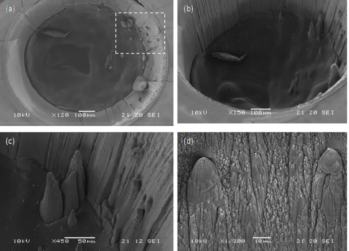 Figure 5. A SEM image of acrylic IOL (Alcon MA30BA model, 21.5 D) after was exposed in UV light before laser irradiation