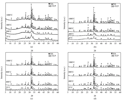 Figure 7. XRD diffractograms of dentin (a) (b) and enamel (c) (d) at different temperatures in air (a) and (c) and in argon (b) and (d)