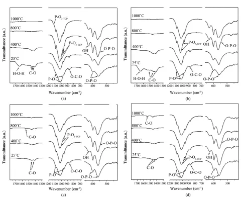 Figure 8. FTIR spectra of dentin (a) (b) and enamel (c) (d) at different temperatures in air (a) and (c) and in argon (b) and (d)