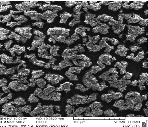 Figure-1(a). Scanning Electron Micrographs of Porous Silicon (PS)  