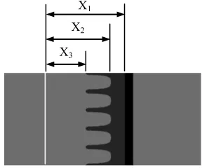 Figure 4. Time evolving of the jelly interface ((i) ms; (e)  = 1.0 mm,  = 8 mm, left column: experiments, right column: simula-tions)