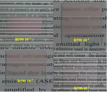Figure 4 illustrates SEM topography image for the film sample. The thickness of coating in three different regions of the film as approximately the same giving indication of the homogeneity of the prepared film