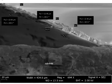 Figure 3. Random distribution of TiO2 nanoparticles at film sample. 