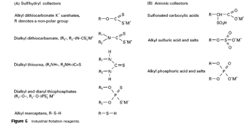 Figure 5Industrial flotation reagents.Dialkyl dithiocarbamate (R1}, R2})N}CS�2 M#are selective collectors for Cu or Cu-activated Zn