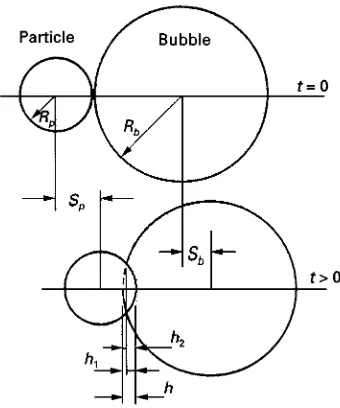 Figure 7Bubblethe analysis of coal flotation. Coal Preparation 5, 147mission from Ye and Miller (1988) Bubble}particle contact time