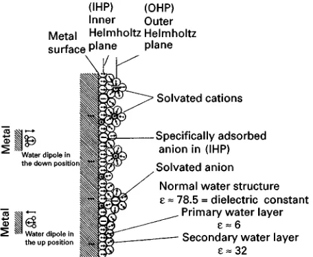 Figure 1Model of a metal electrolyte interface showing film ofwater dipoles. Reproduced with permission from Leja J (1982)Surface Chemistry of Froth Flotation