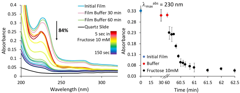 Figure 3. Absorbance spectra for the disassembly of the (PEI/PVS)Absorbance (A. U.)2(PpBA/PVS)5 film in 10 mM 0.1