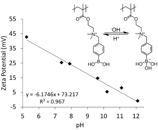 Figure 1. Zeta potential of PpBA (1 mg mL-1) between pH 5.2 to 12.1 measured by dynamic light 