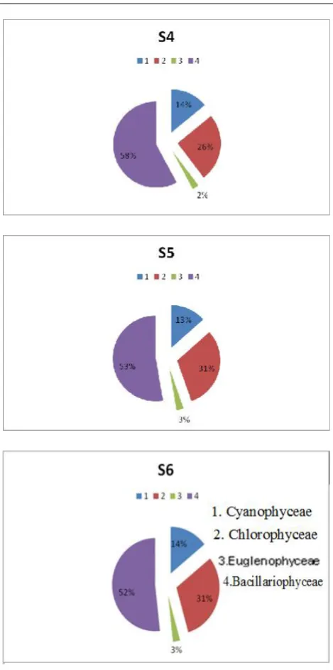 Figure 2.  Percentage of epipelic algal classes in the study areasites (S1-S6) during the study period