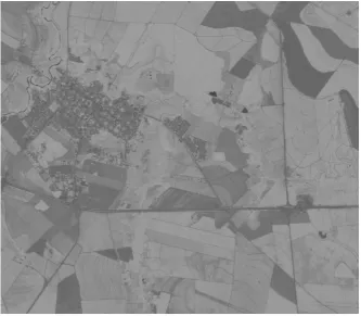 Figure 3. Monochromatic results achieved with cmNDVI for study area. 