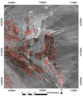 Figure 5. Lineaments of area detected by performing High Gaussian filter on panchromatic band of IRS data
