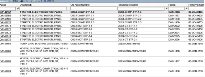 Figure 3. Unique Asset Number with Identical Description. Source: Figure 3 is captured from the engineering field of the Engineering Service Units of Dubai Airports from Inte-grated IBM software “Maximo” in August 2015