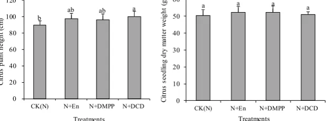 Figure 3. Effect of nitrification inhibitors on plant height and dry matter accumulation of citrus
