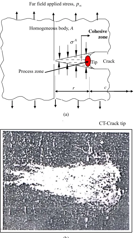 Figure 2. Stages of crack advancement towards a thin weld; (a) Stage I (Cohesive zone in parent body); (b) Stage II (Ex-tension of cohesive zone into interface body)