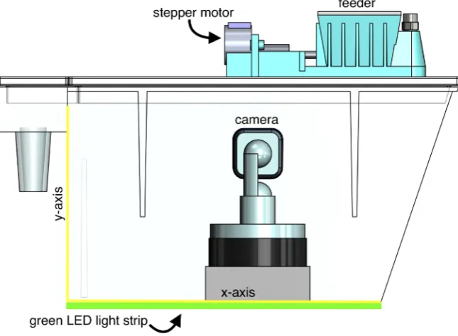 Figure 2. Schematic of a single tank set up with feeding and video acquisition systems in place and axes for 2D video tracking
