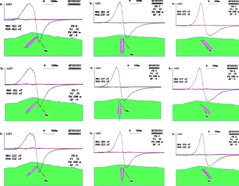 Figure 2. Symbolic recognition of three types of magnetic source morphology under mountain topography