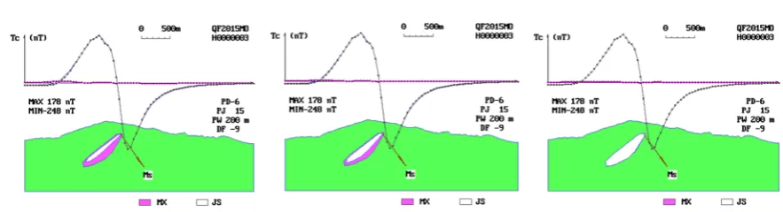 Figure 3. Flow chart of shape determination of field source profile. 