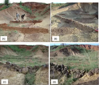 Figure 4. (A) Constructing check dams May, 2008(B) After 9 months constructing check dams, Aug, 2009, (C) After 18check dams, June, 2010 and (D) After  21st  months constructing check dams, Sept, 2010    th months constructing   