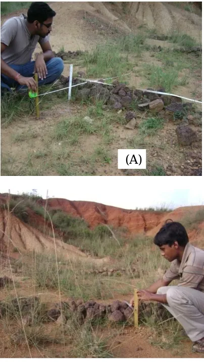 Figure 6. Effect of check dams (a) Estimation of runoff volume in relation to check dams (b) Estimation of soil loss in relation to check dams  