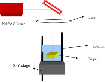 Figure 1. Schematic diagram of experimental setup. 