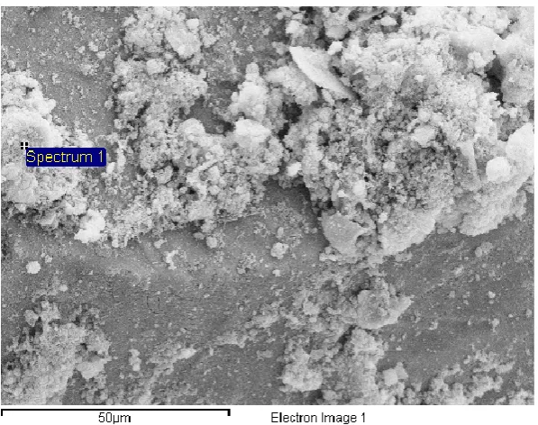 Table 1. Concentration of Physico-chemical parameters in Electroplating waste water samples    