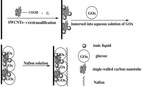 Figure 1 shows the CV of various electrodes in 2.5 mM GCE after coating with SWCNTs-IL, the current was substantially increased and still displayed a steady-state diffusion plateau