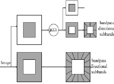 Fig. 4. The flowchart of NSCT   