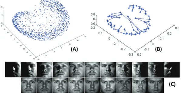 Figure 1.3: Multi-factors in the Extended Yale-B DB: (A) Distribution of the ﬁrst two prin- prin-cipal components trained on ﬁrst three subjects with nine poses and 64 lighting conditions, (B) Distribution of 64 lighting conditions of the ﬁrst subject, (C)