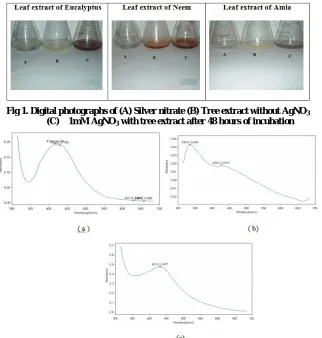Fig 1. Digital photographs of (A) Silver nitrate (B) Tree extract without AgNO 