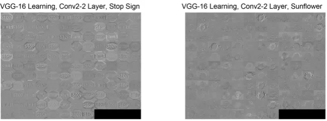 Figure 4. Learning Exhibited by VGG_16’s “conv2_2” Layer on Caltech-101.  