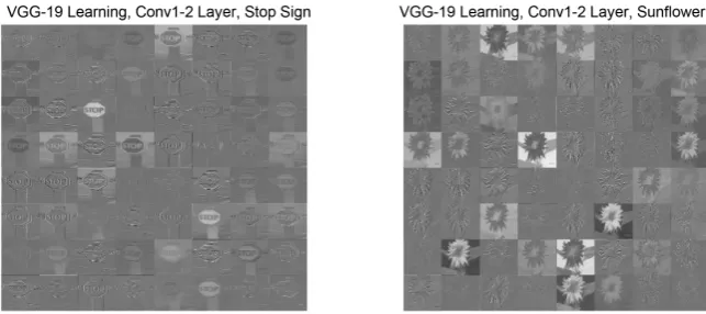Figure 7. Learning exhibited by VGG_19’s “conv1_2” layer on Caltech-101.  