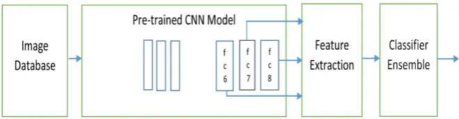 Figure 1. The proposed DM-L based feature extraction and classifier ensemble system. 