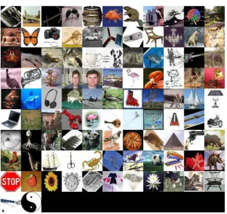 Figure 2. Montage of selected object images from Benchmark Caltech-101 database. 