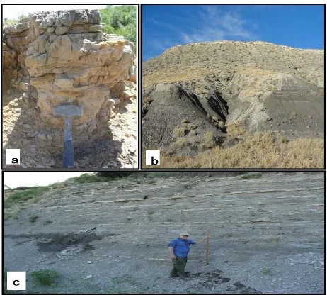 Figure 2. (a) Dakota sandstone exposed to the south of the town of Wilson, Russell county, central Kansas; (b) Graneros shale exposed at Rock Canyon near west of Pueblo, Colorado; (c) Exposure of the Greenhorn Formation at Bunker Hill Section, central Kans