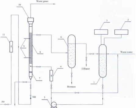 Figure 2. Schematic diagram of the experimental apparatus: 1. Reservoir; 2. Temperature control system; 3