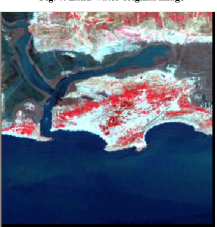 Fig. 7. Land-water original image 