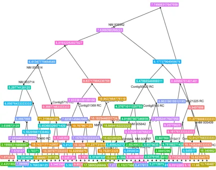 Figure 7. Random forest: Survival time. 